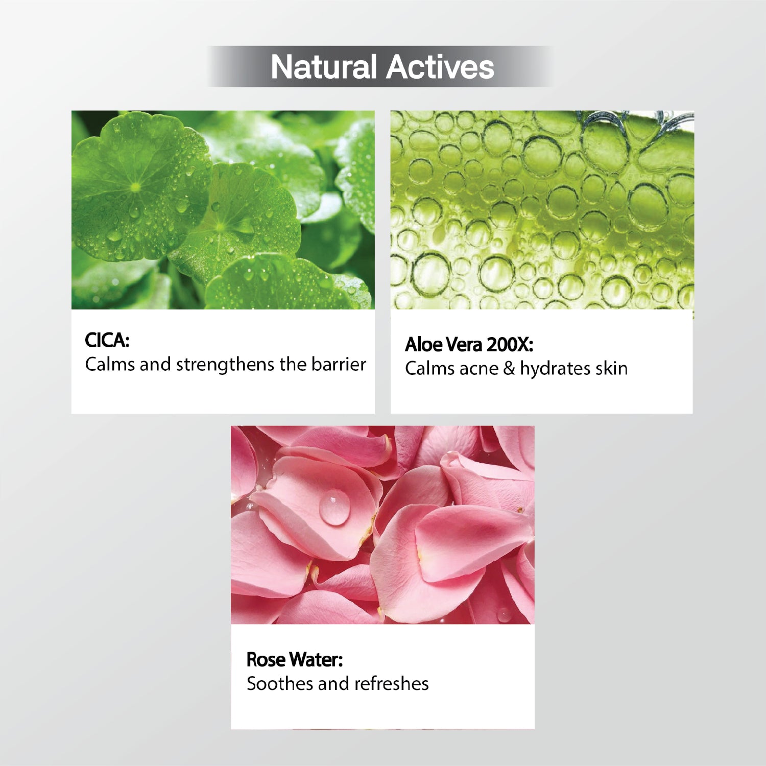 Dwell: Hydrating & Barrier Repair Daily Moisturiser