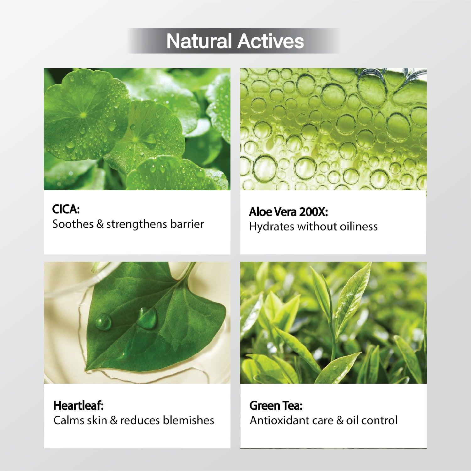 Defend: Oil & Acne Control Daily Moisturiser
