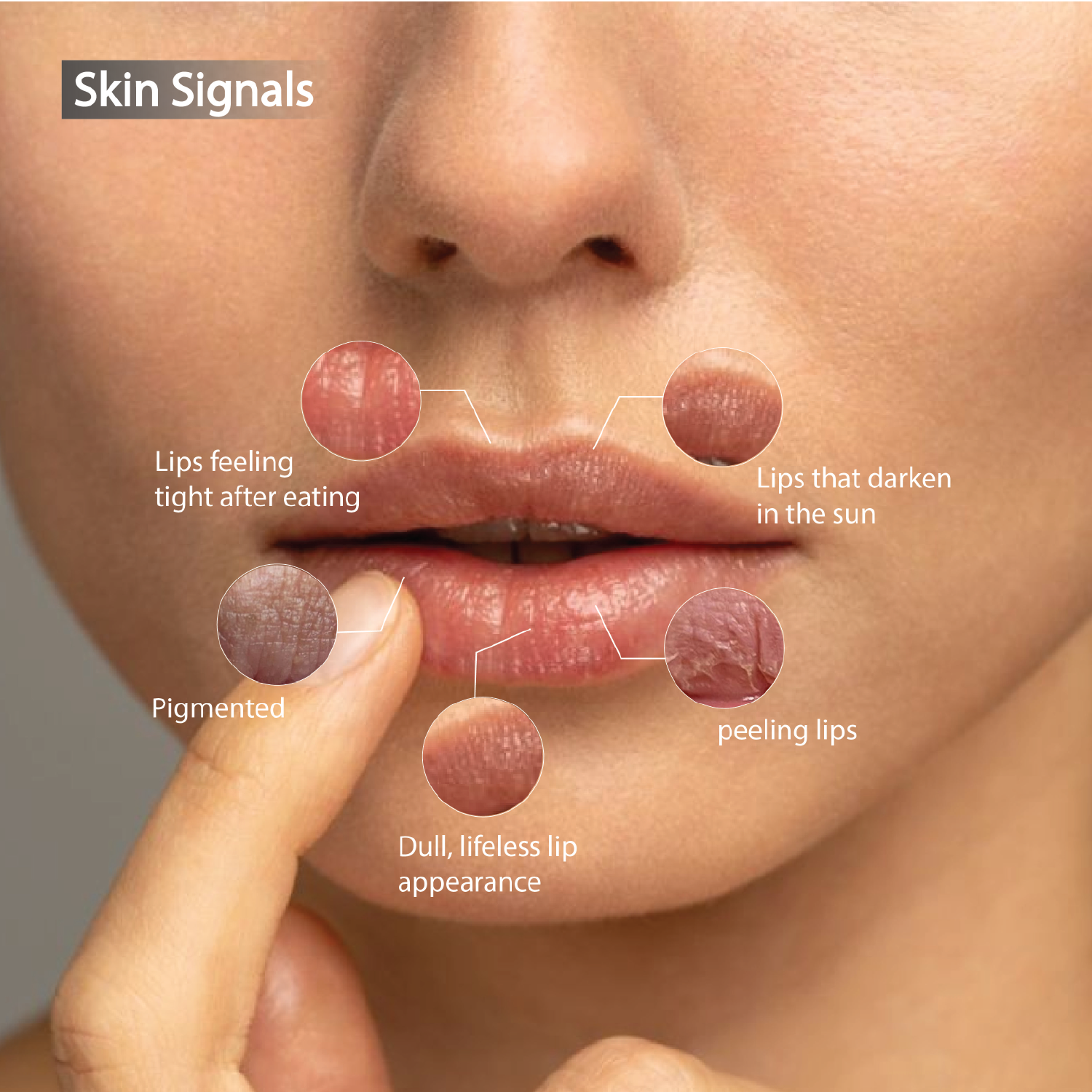Soothe (Tinted): Lip-First Care Balm