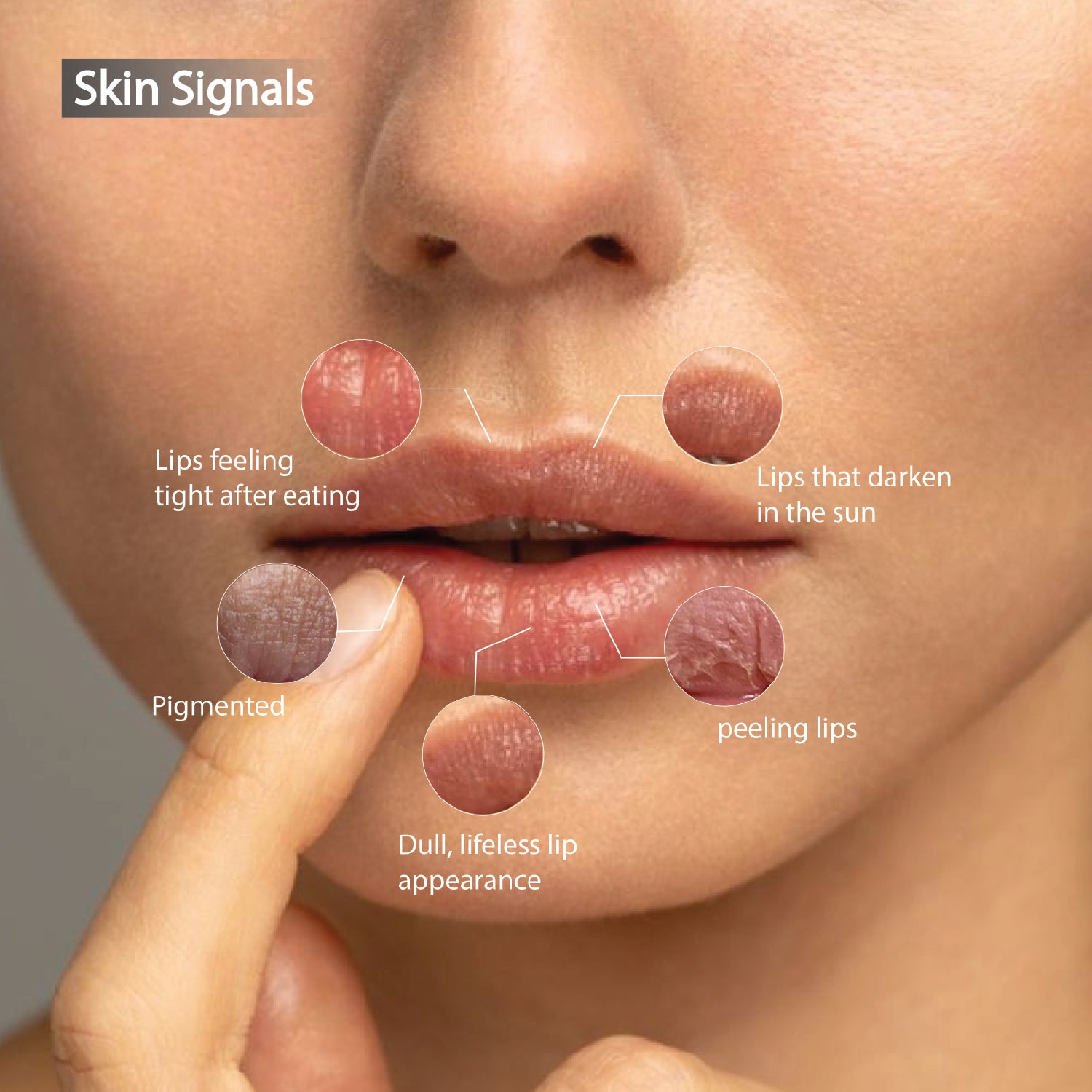 Soothe (Plain): Lip-First Care Balm